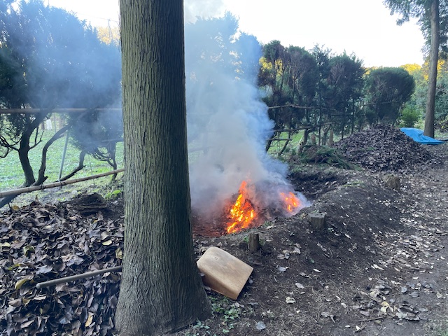 落ち葉は園外へ